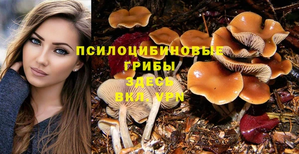 2c-b Тавда